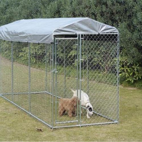10x10x6 Dog Kennel: Ideal Outdoor Shelter