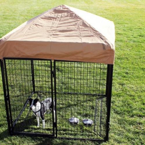  10x10x6 Welded Wire Dog Kennel for Secure Pet Enclosure